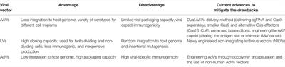 Viral Vectors for the in Vivo Delivery of CRISPR Components: Advances and Challenges